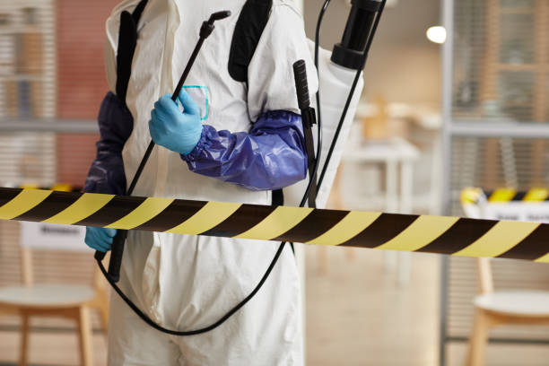 Professional Biohazard technician working in Nederland, TX